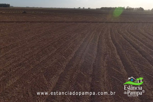 Fazenda com 1496 ha em Cachoeira do Sul localidade Irapu�.00_16_38_18.Quadro045_79851a375076a1b1d4086f8d57b1fb31ac6b055d.jpg